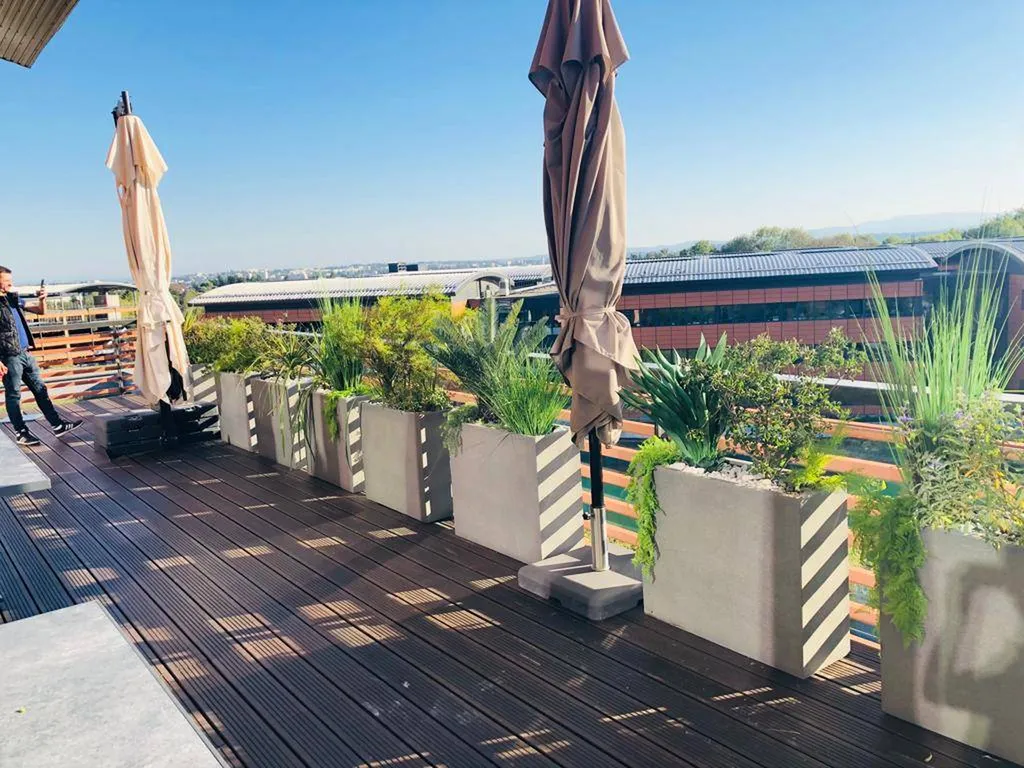 décoration végétal terrasse à lyon 