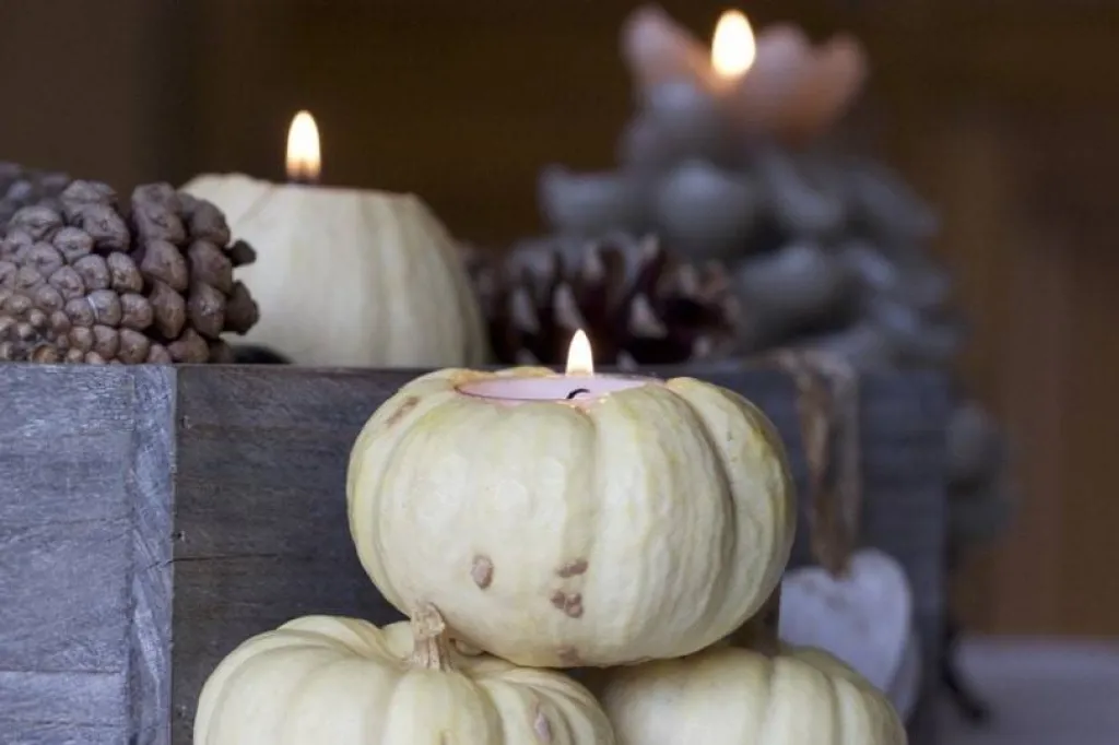 Coloquinte en bougeoir