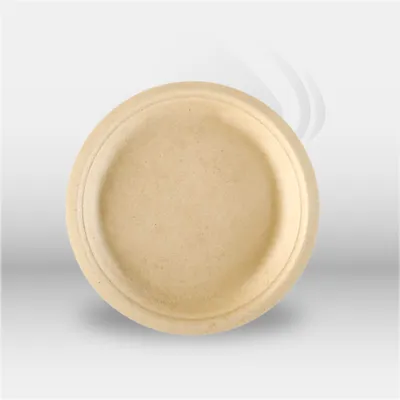 Assiettes Bionic en bagasse Ø 18 cm écologiques et biodégradables, idéales pour restauration rapide, traiteur, événements et vente à emporter, résistantes aux plats chauds et froids – disponibles à Mont-de-Marsan, Landes (40), Nouvelle-Aquitaine et toute 