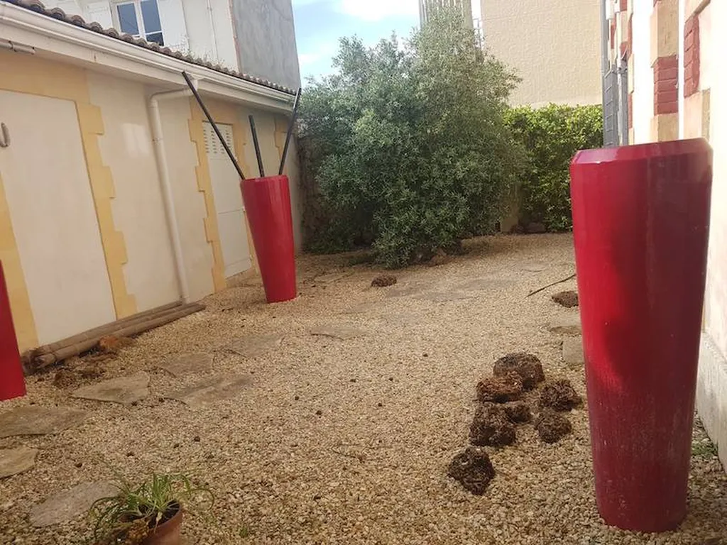 Bel immeuble en centre ville d'Arcachon pour louer un bureau