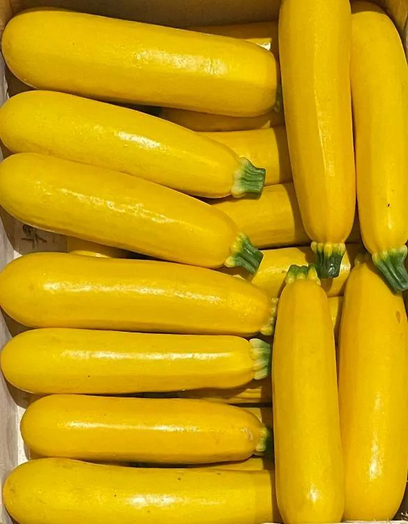 Notre zone d'activité pour ce serviceAcheter des fruits et légumes frais de producteur à Marseille 13012 Saint-Barnabé