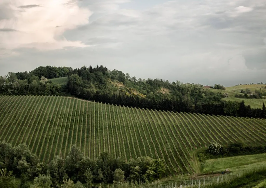 Votre Coordination de Jour J de mariage par My Event' By Jenny pour un mariage exceptionnel