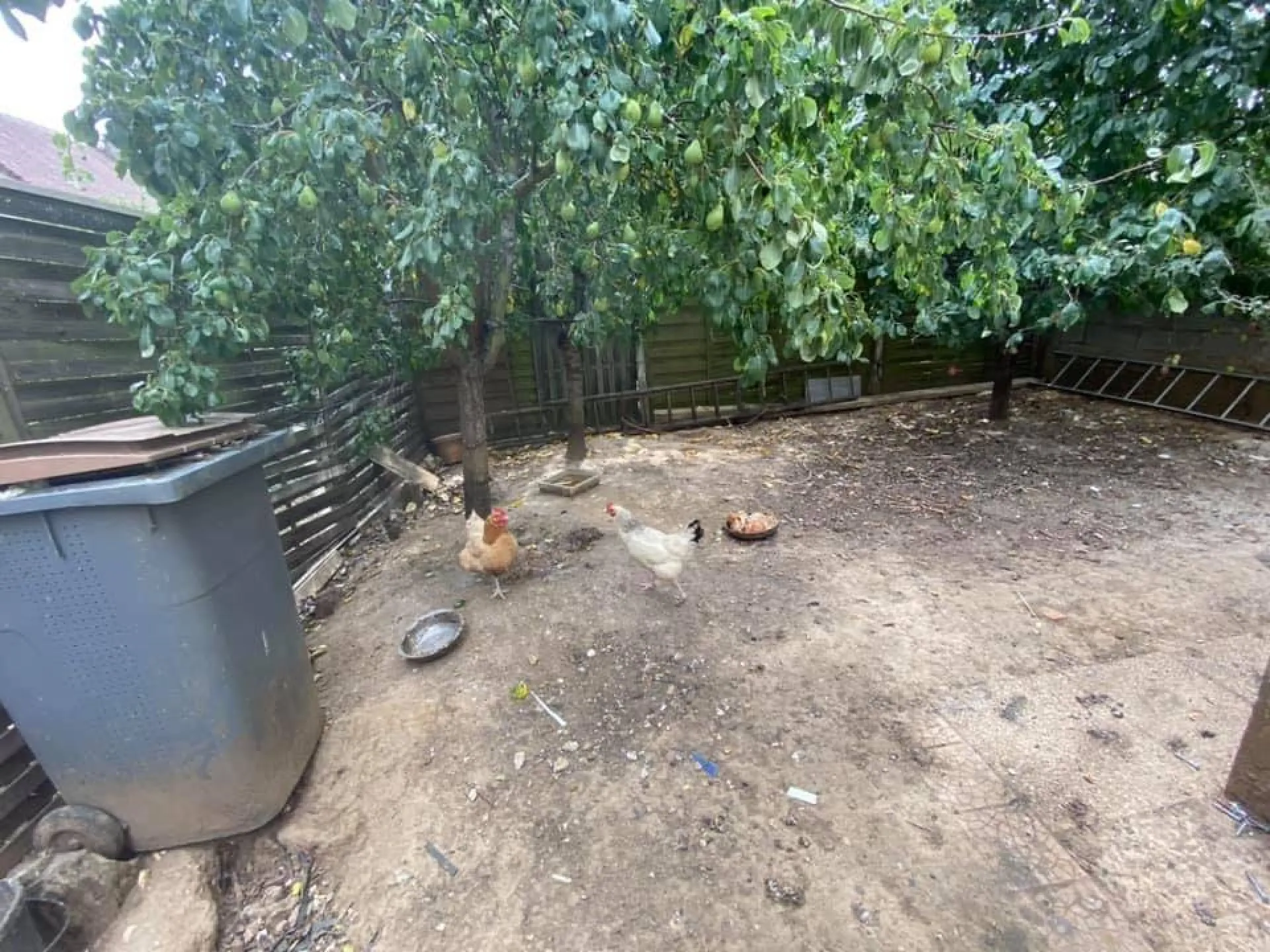 maison avec jardin à saint pierre les elbeuf