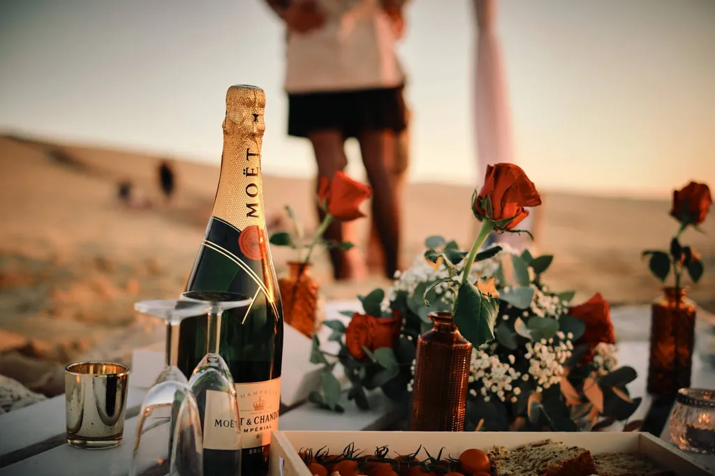 Alexis & Angélique : Une demande en mariage extraordinaire sur le bassin d'arcachon - Les Mariages de Mademoiselle L - Sandra Lexow