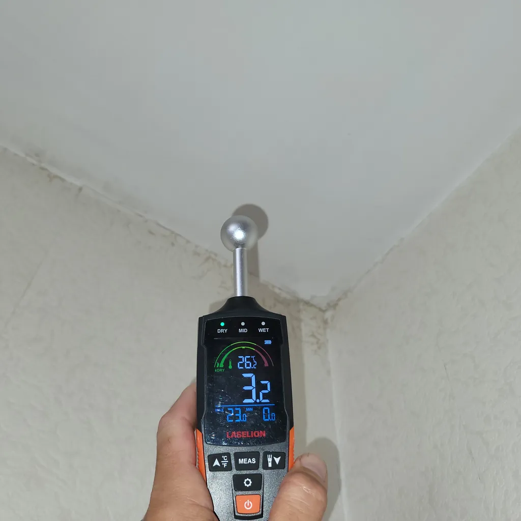 Humidité dans un plafond, détection de fuite avec humidimètre