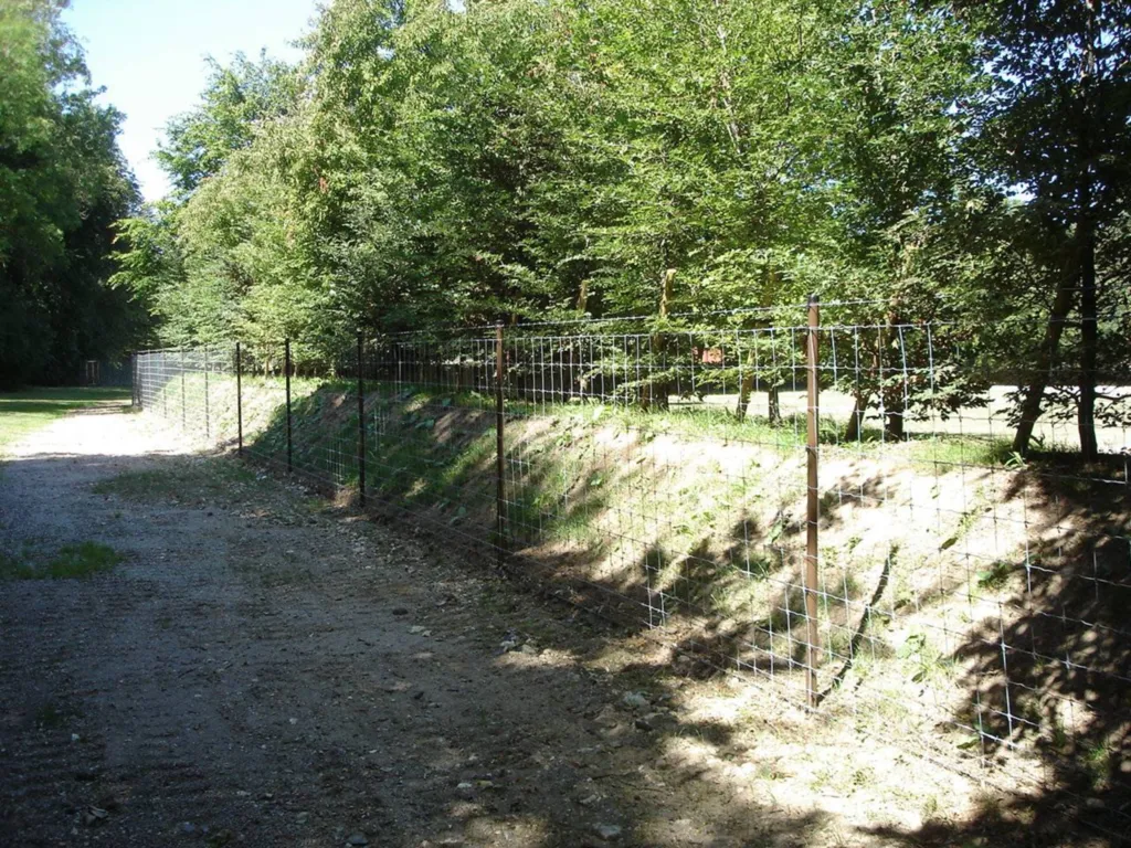 installation d'une clôture anti-gibier dans le Calvados 14