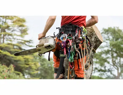 Entreprise experte en élagage d’arbres débordant sur la voie publique dans le Vaucluse