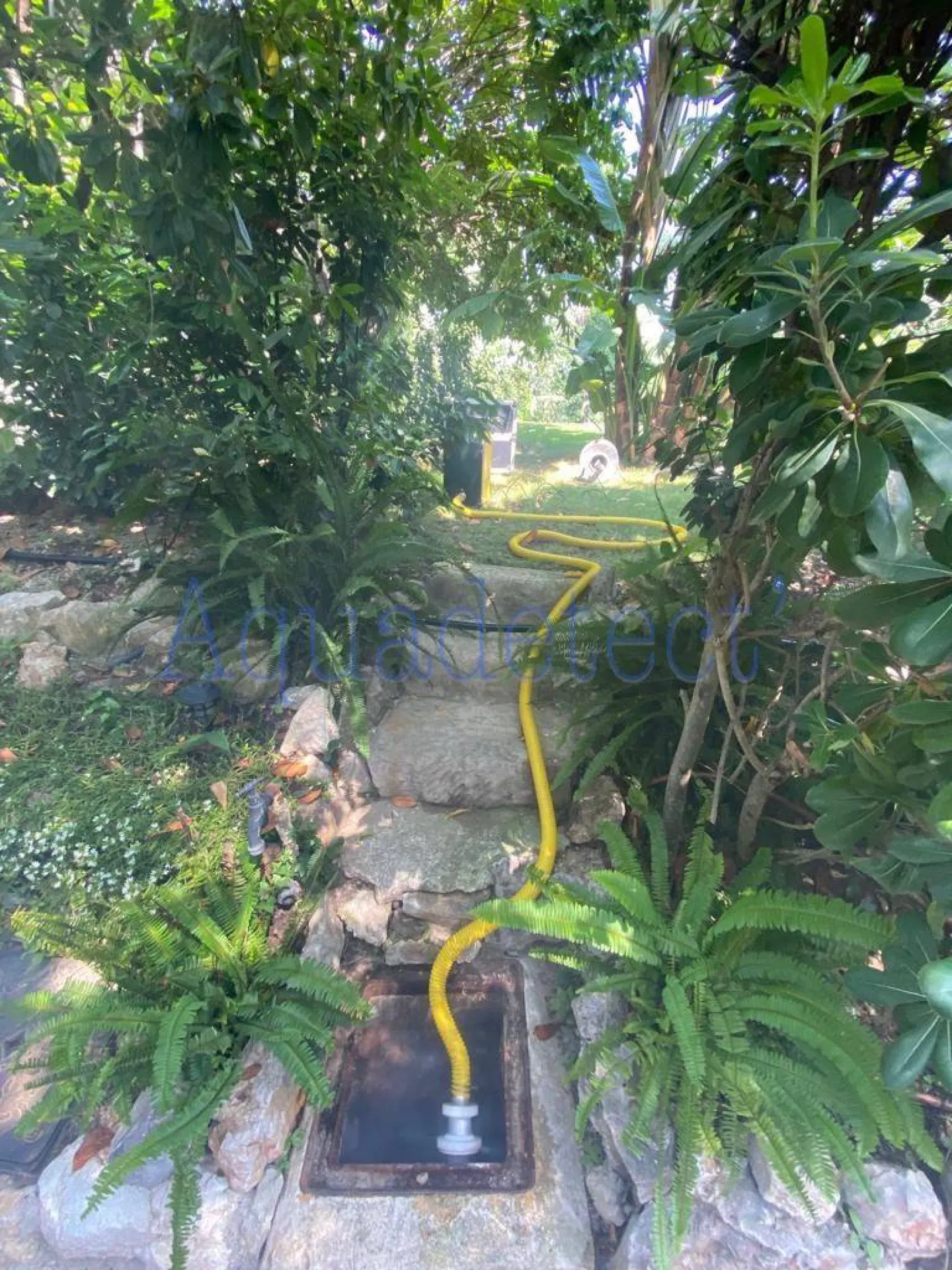 Recherche odeurs nauséabondes dans une villa à SAINT-JEAN-CAP-FERRAT