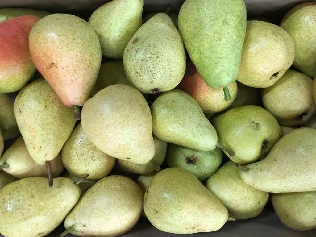 Livraison Poires Guyot Bio en relais colis à Marseille