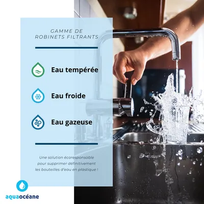 Gammes de robinets filtrant