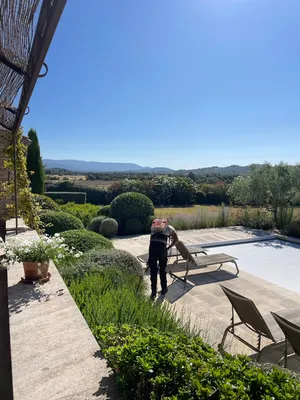 Taille d'arbres autour d'une piscine à Roussillon