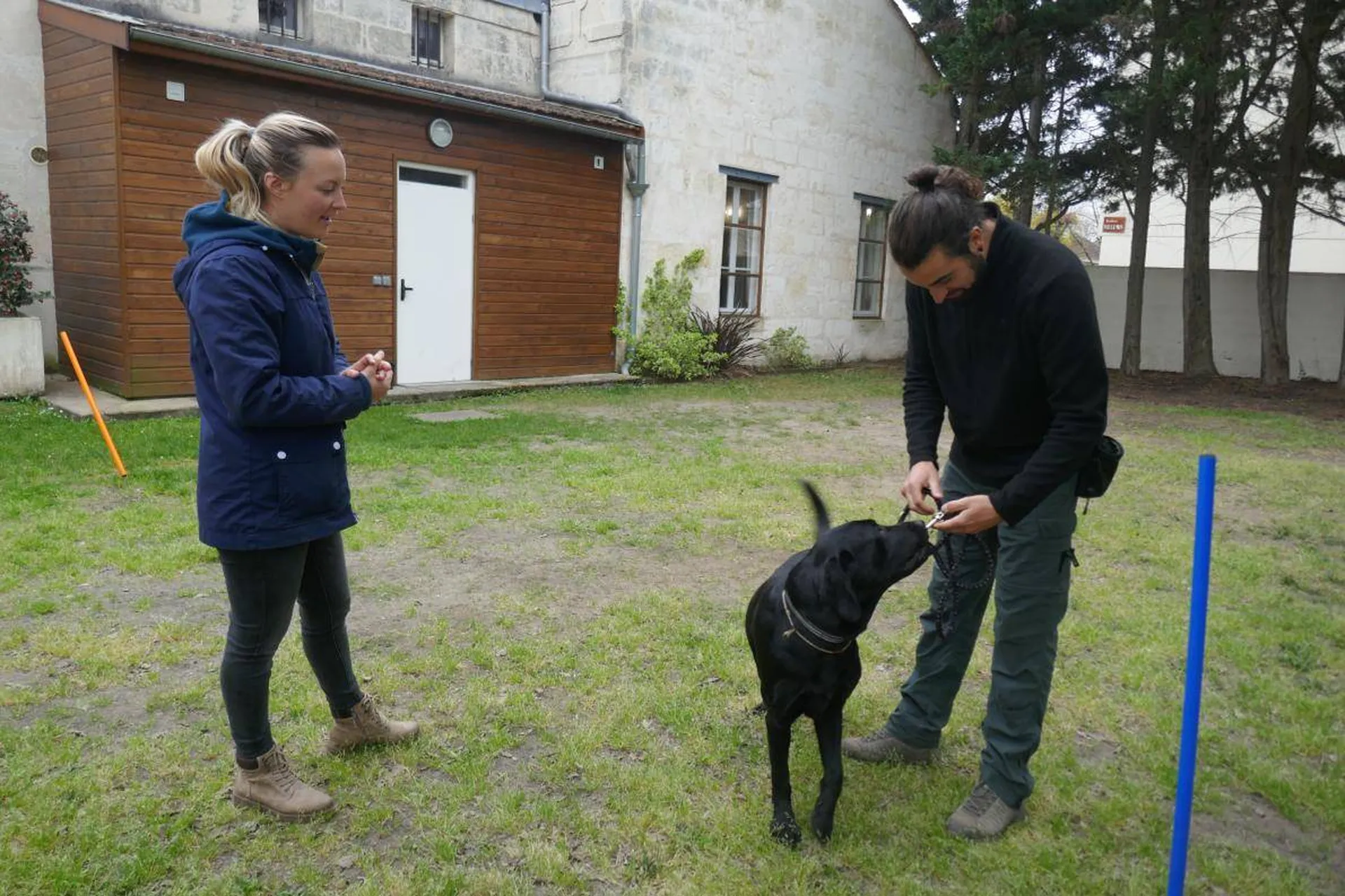 formation en presentiel d'educateur canin sur bordeaux 