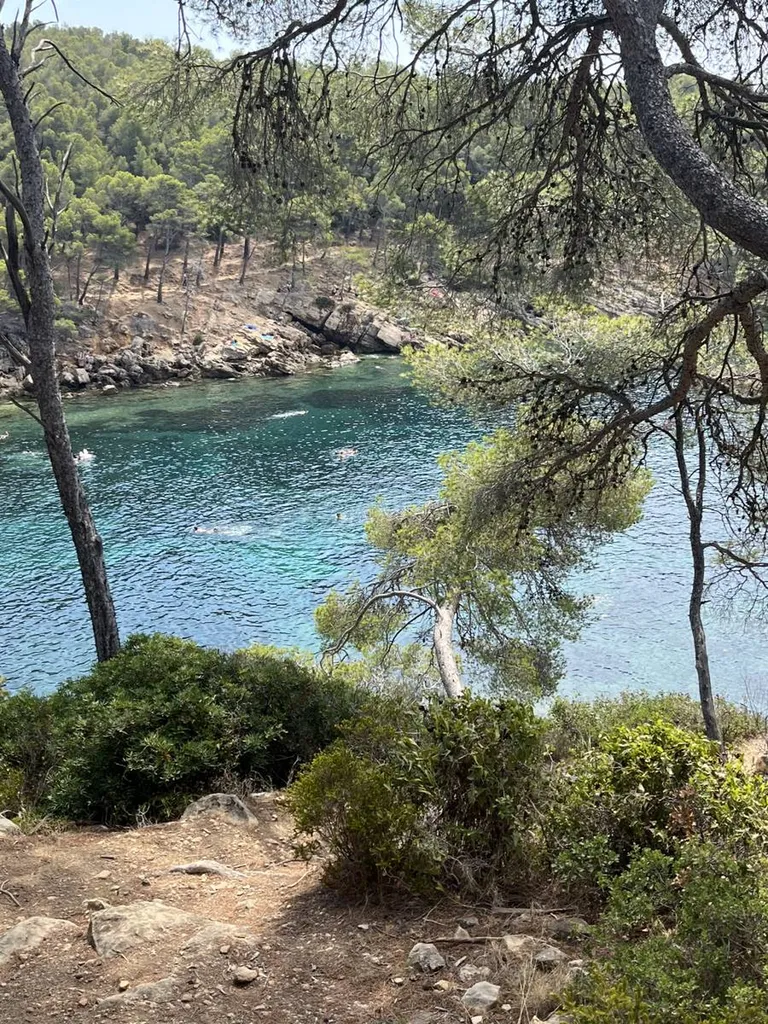 La consultation de voyance par téléphone : est-elle sérieuse à Toulon ?