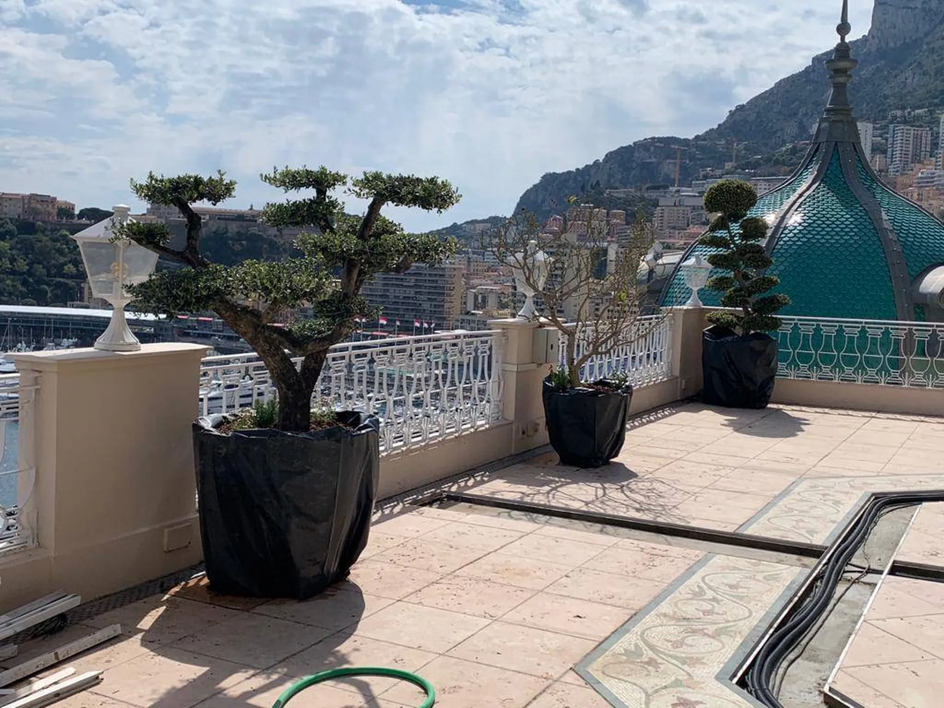 Jardin avec poterie et arbres bonsai olivier sur balcon à Monaco