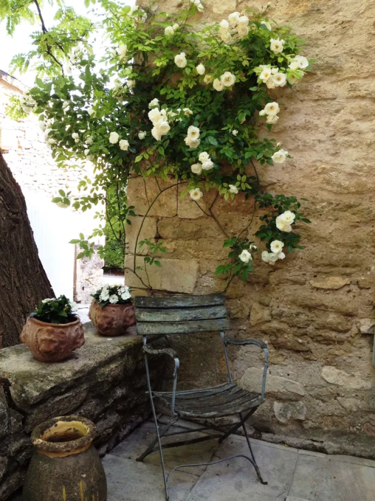 Le petit fauteuil ou l'on a envie de se poser