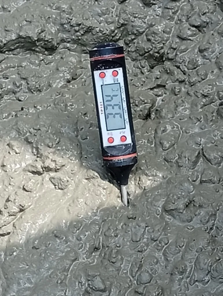 BCG au cœur d’un projet structurant pour le Bénin : l’échangeur de Védoko