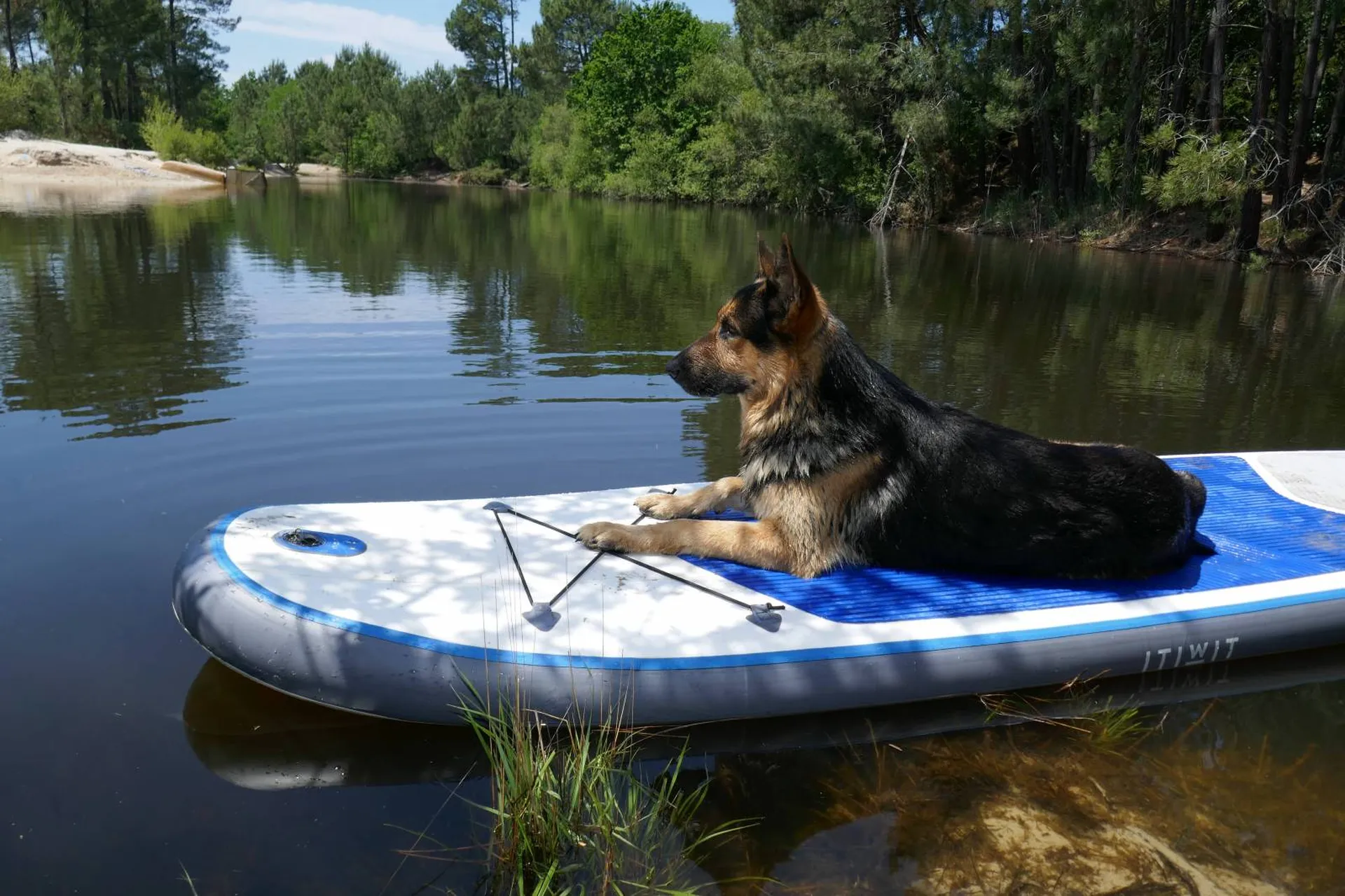 louer un paddle pas chere sur la bassin pour en faire avec son chien