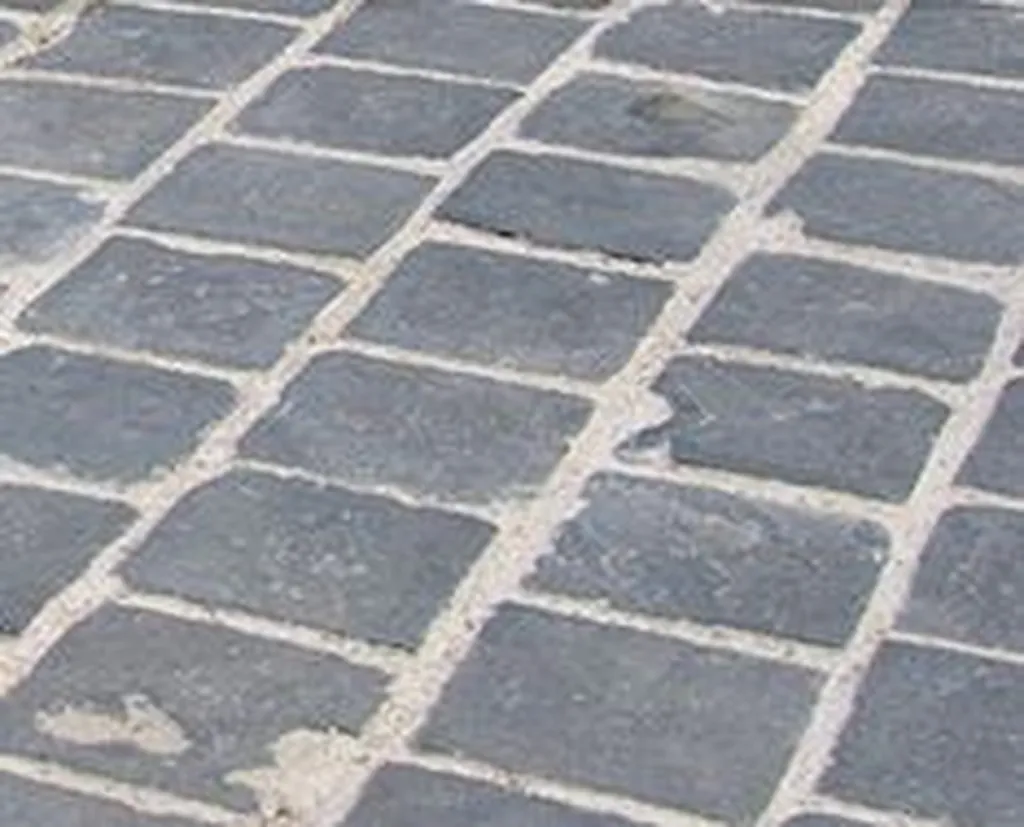 pavé joint carrosable