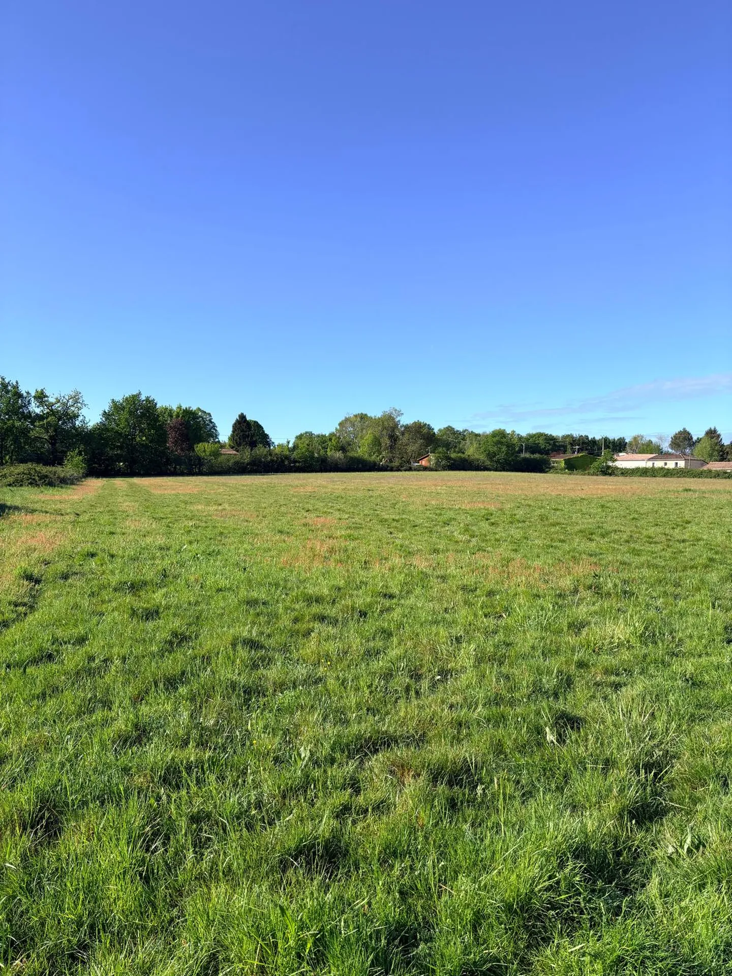 Terrain à bâtir viabilisé de 440 m² sur la commune du Pout, proche de Sallebœuf et de Créon 
