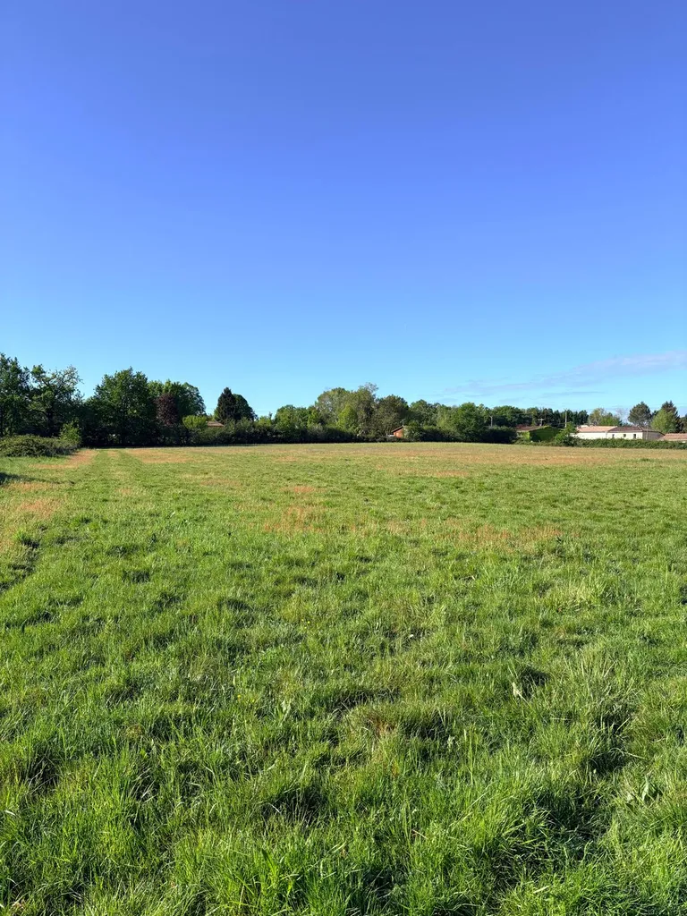 Terrain à bâtir viabilisé de 440 m² sur la commune du Pout, proche de Sallebœuf et de Créon 