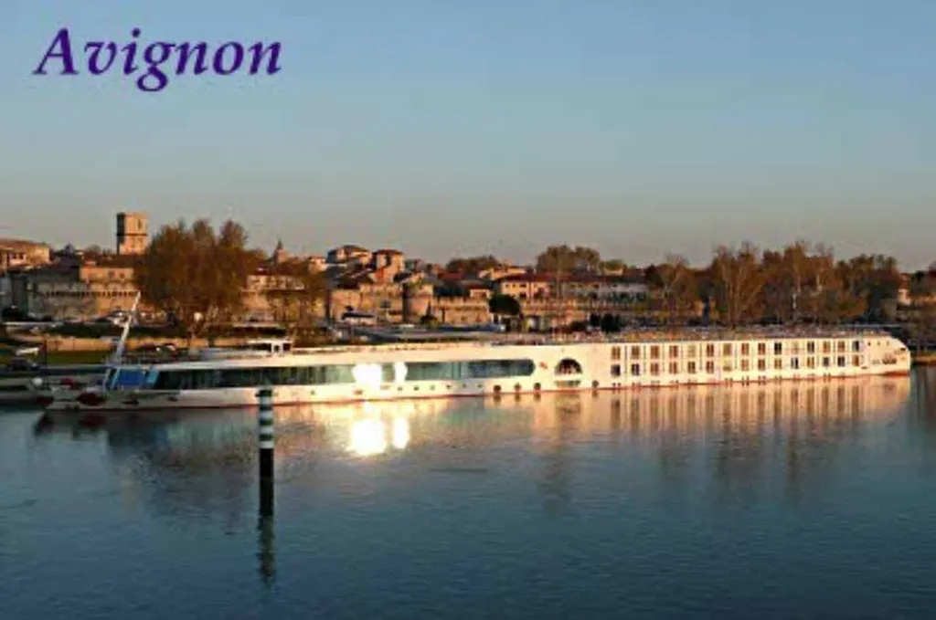 Visitez Avignon en minibus avec un chauffeur privé qui fait un city tour par le palais des papes