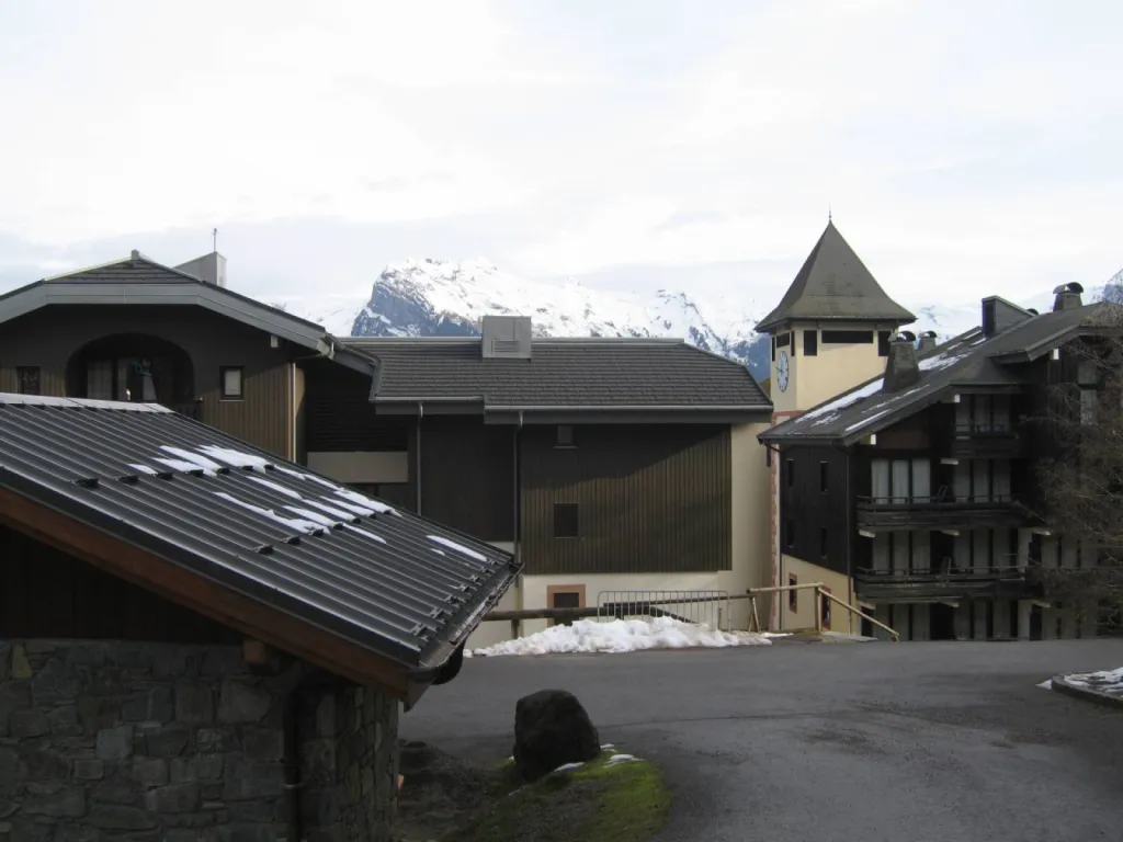 Tuiles GERARD sur Le Grand Tetras à MORILLON 2