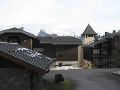 Tuiles GERARD sur Le Grand Tetras à MORILLON 2