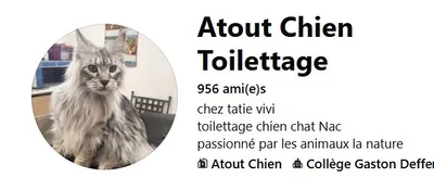 atout chien marseille 13007