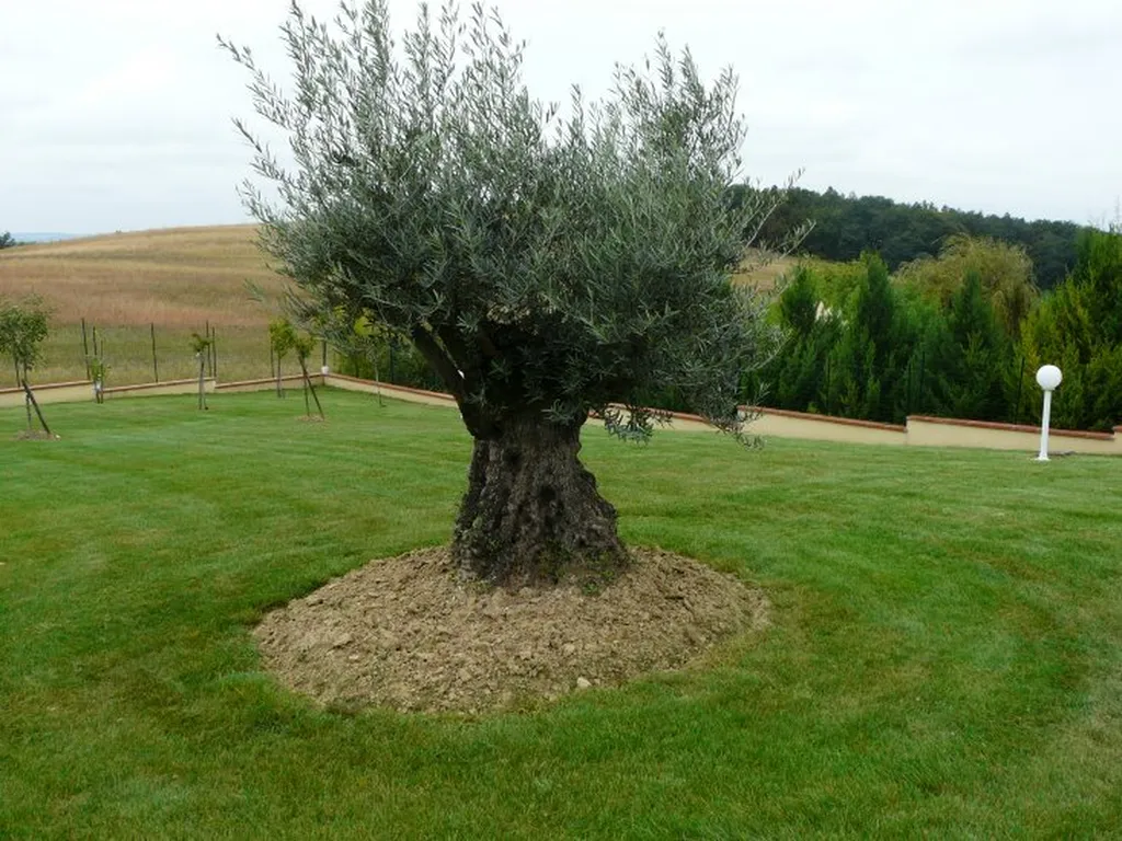 Entretien de jardin haute garonne