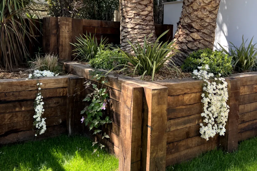 vente d'arbres sur le Bassin d'Arcachon