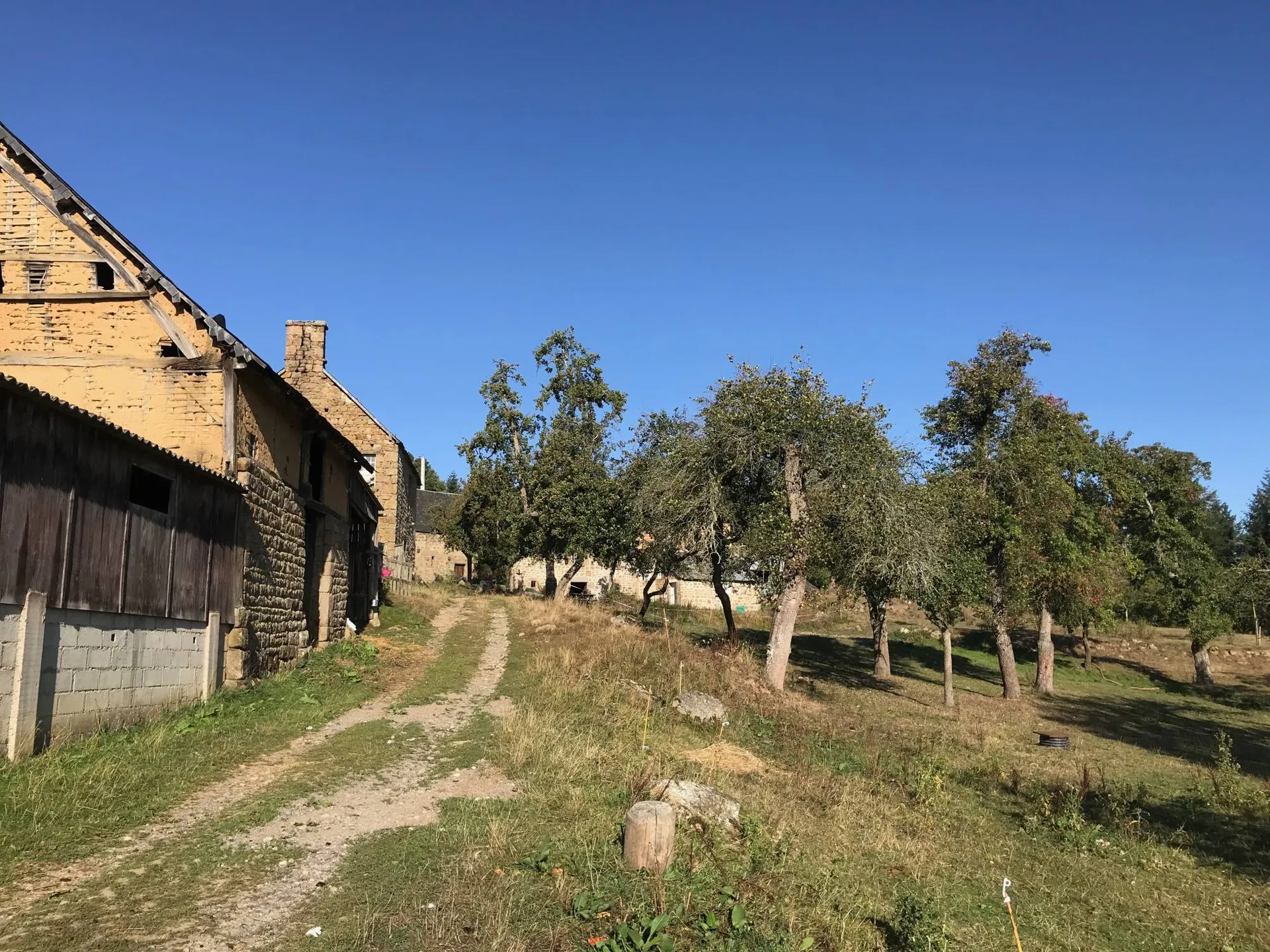 Ferme traditionnelle, 25 hectares, ORNE 61