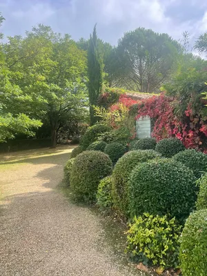Tailles d'arbres et arbustes à Oppède dans le Vaucluse