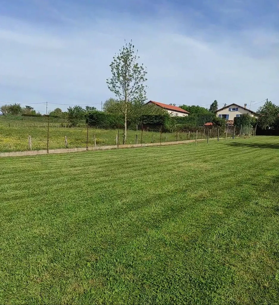 tonte de pelouses riorges