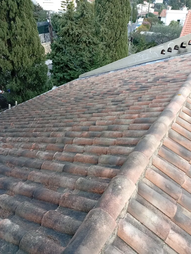 Nettoyage complet de toiture pour élimination des salissures à Brignoles