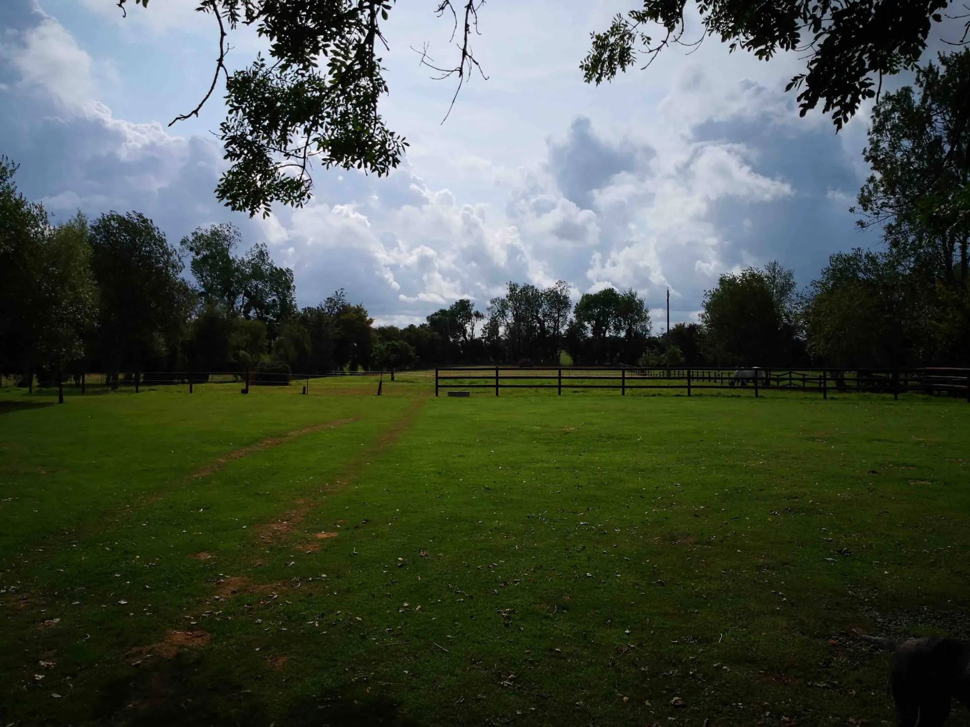 Propriété Normande sur 1.4 ha