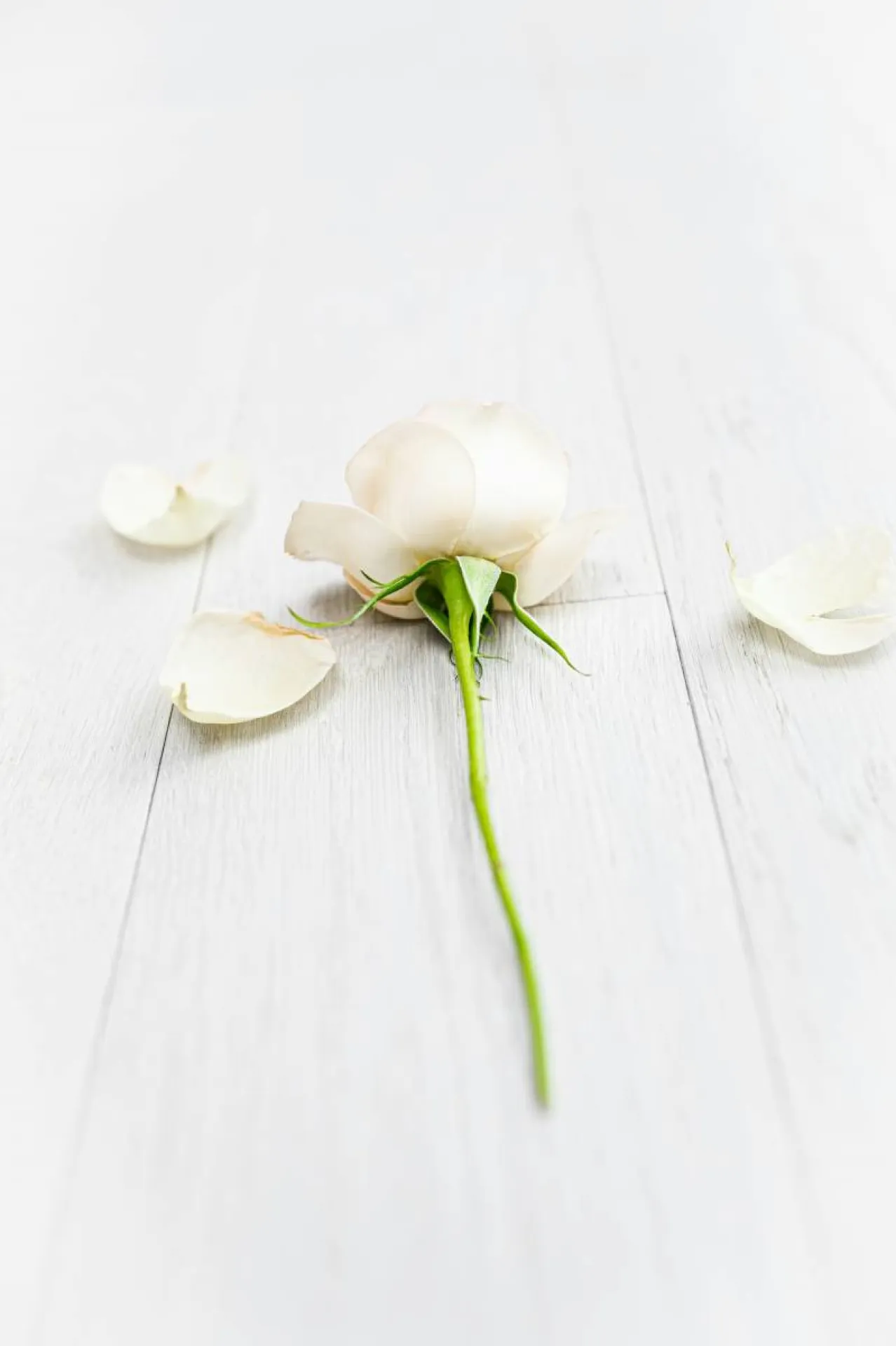 Les recours en cas de rupture brutale de relations commerciales : comment protéger vos intérêts ?