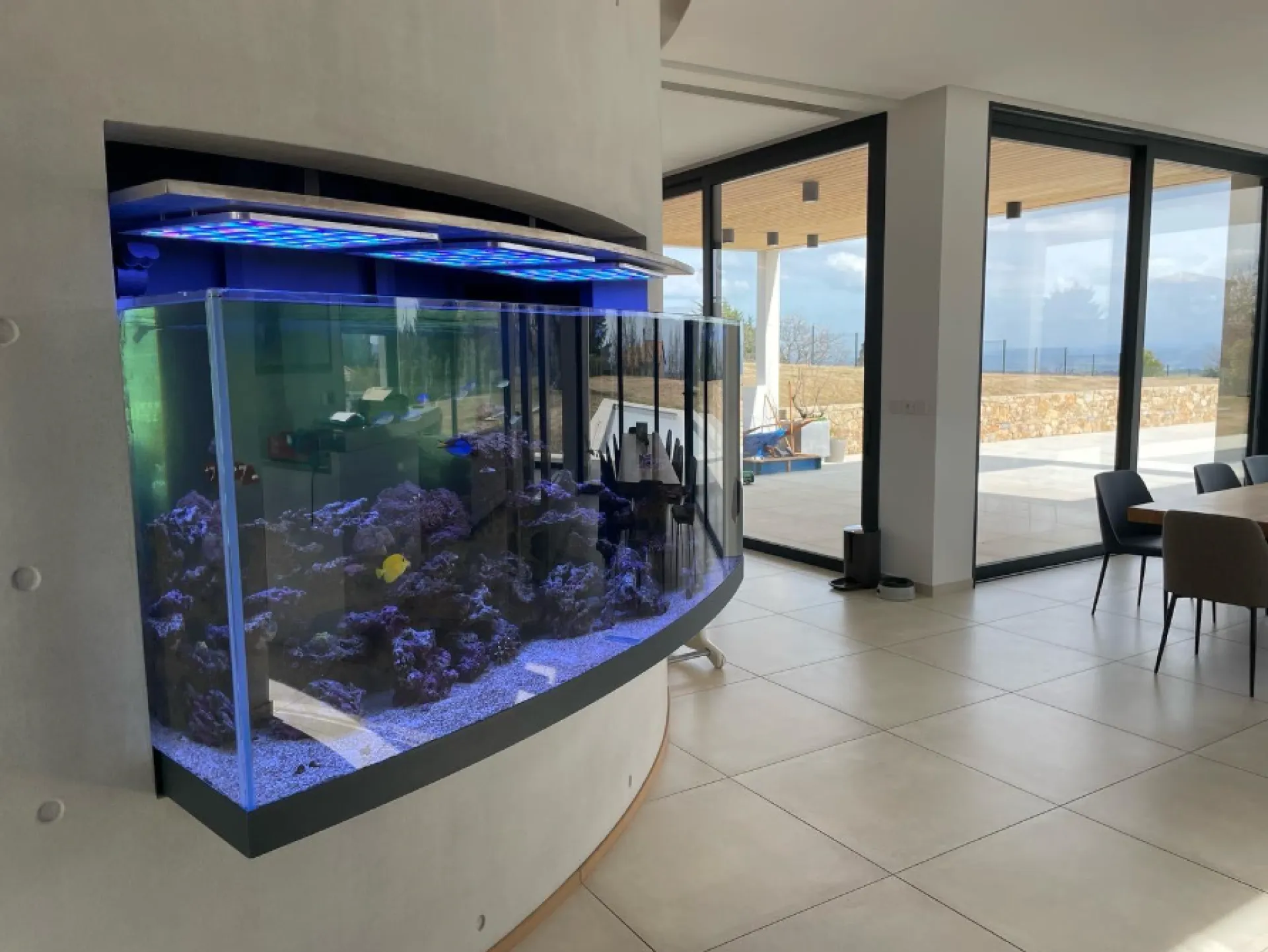 Fabrication d’un aquarium sur mesure en verre bombé à Peaugres