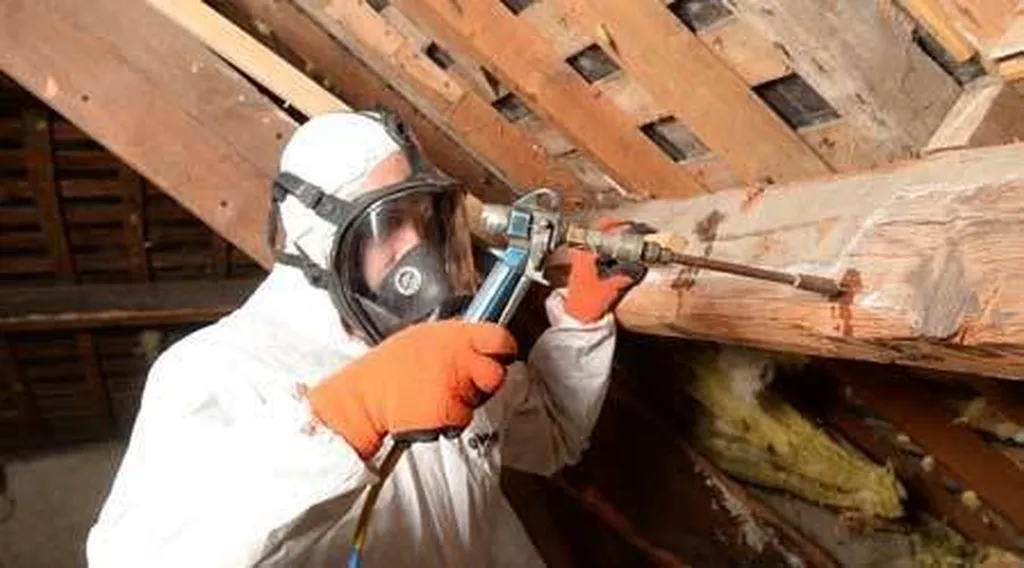 Traitement curatif bois de charpente par injection à St Georges de Reneins (69)