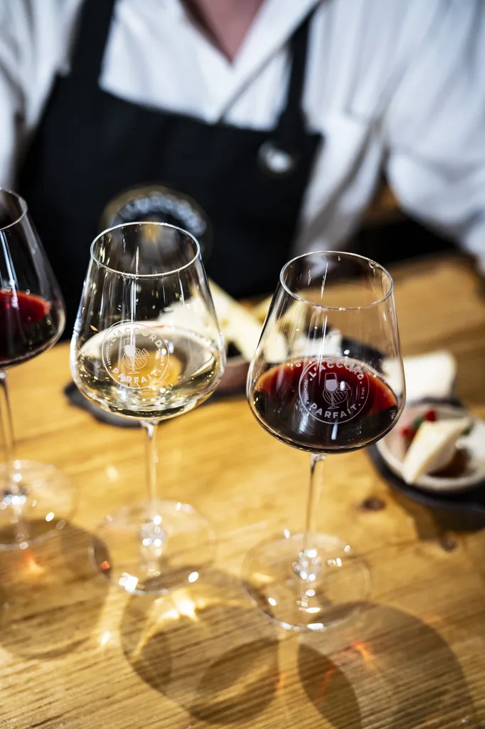Soirée découverte des vins français à domicile à Pessac : voyagez dans les vignobles tout en restant chez vous près de Bordeaux