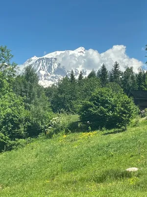 Cuisine de la marque Minimal  à megeve 