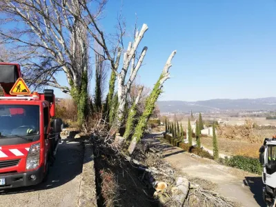 Abattage de peupliers à Gordes (84), pour enlever des arbres dangereux en bord de route