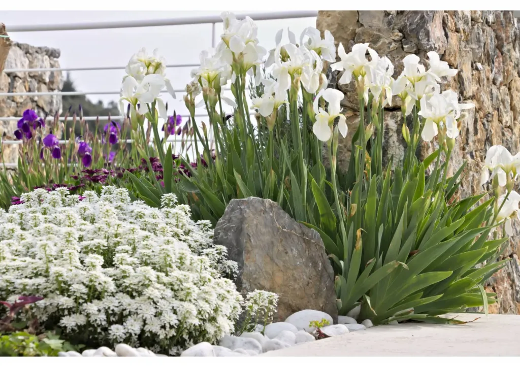 Travaux d aménagement paysager dans le Vaucluse