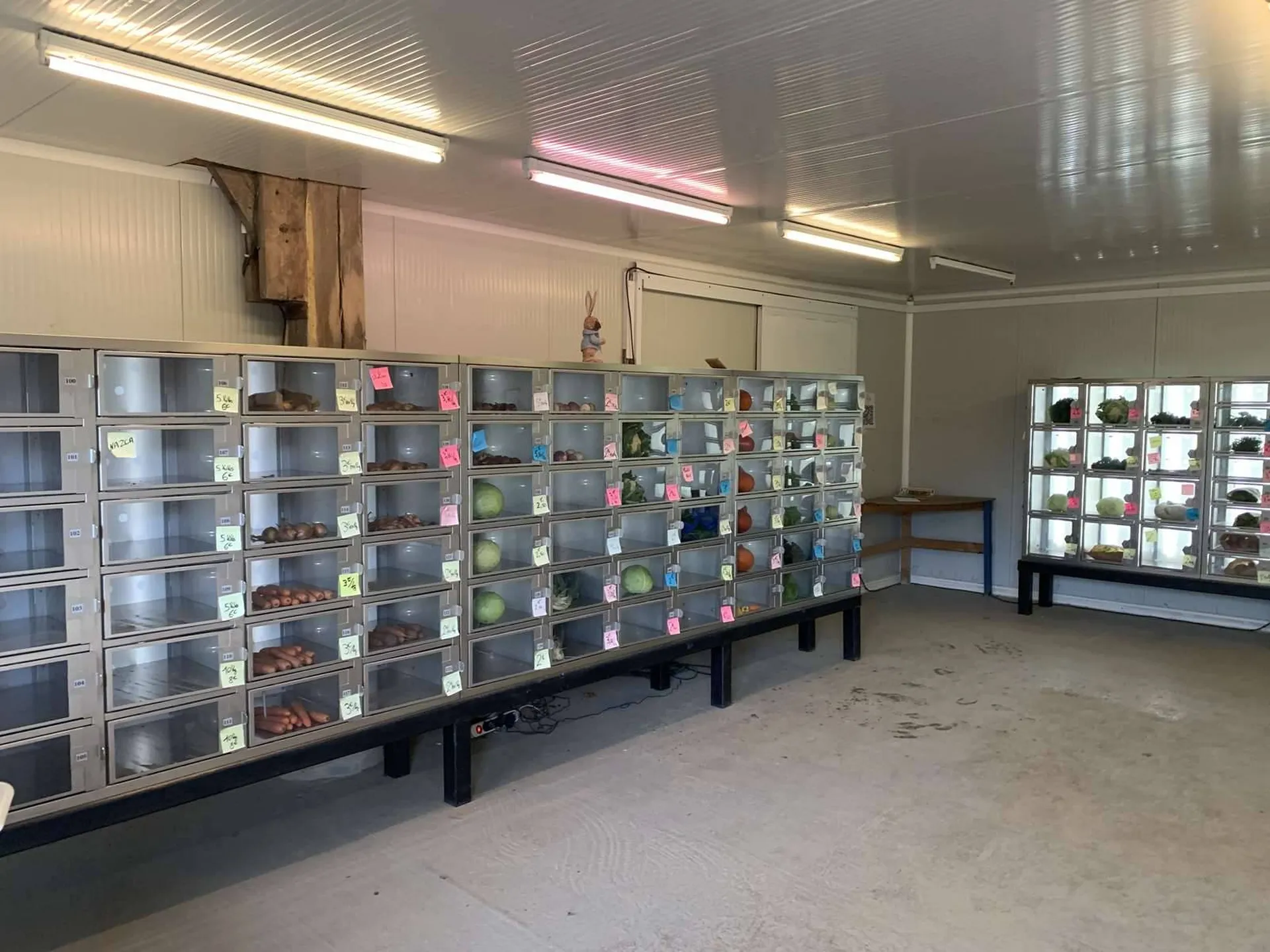 Région NORMANDIE (CALVADOS) : Entre LISIEUX et PONT L'EVEQUE : Exploitation agricole (maraîchage) sur 13 HA