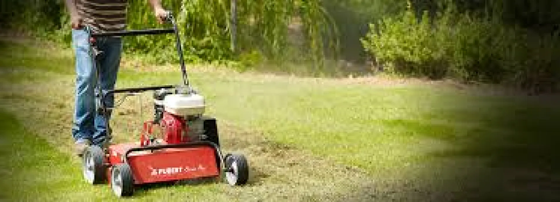 scarifier pelouse engrais ventabren 13122  scarifier pelouse engrais ventabren 13122