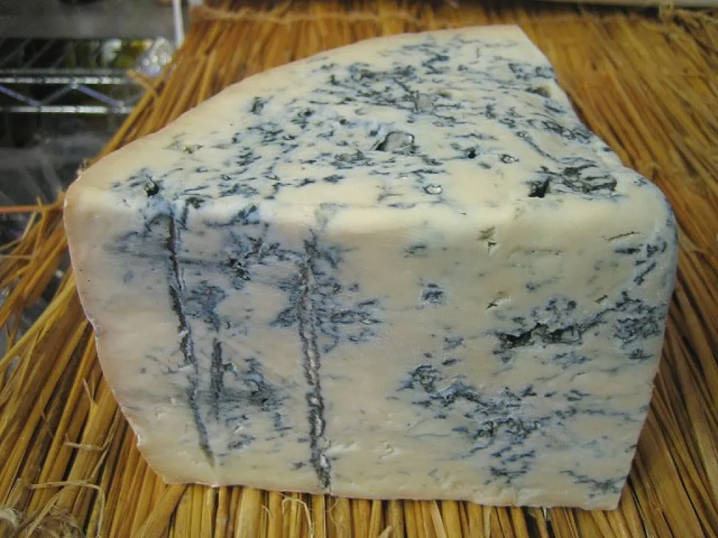 gorgonzola frais
