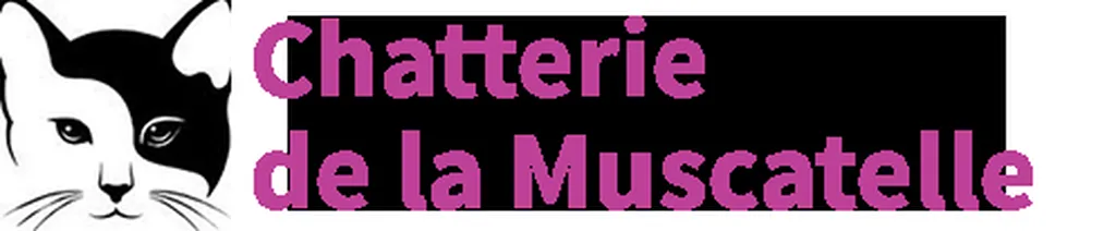 Pension pour chat CHATEAUNEUF LE ROUGE La Chatterie de La Muscatelle