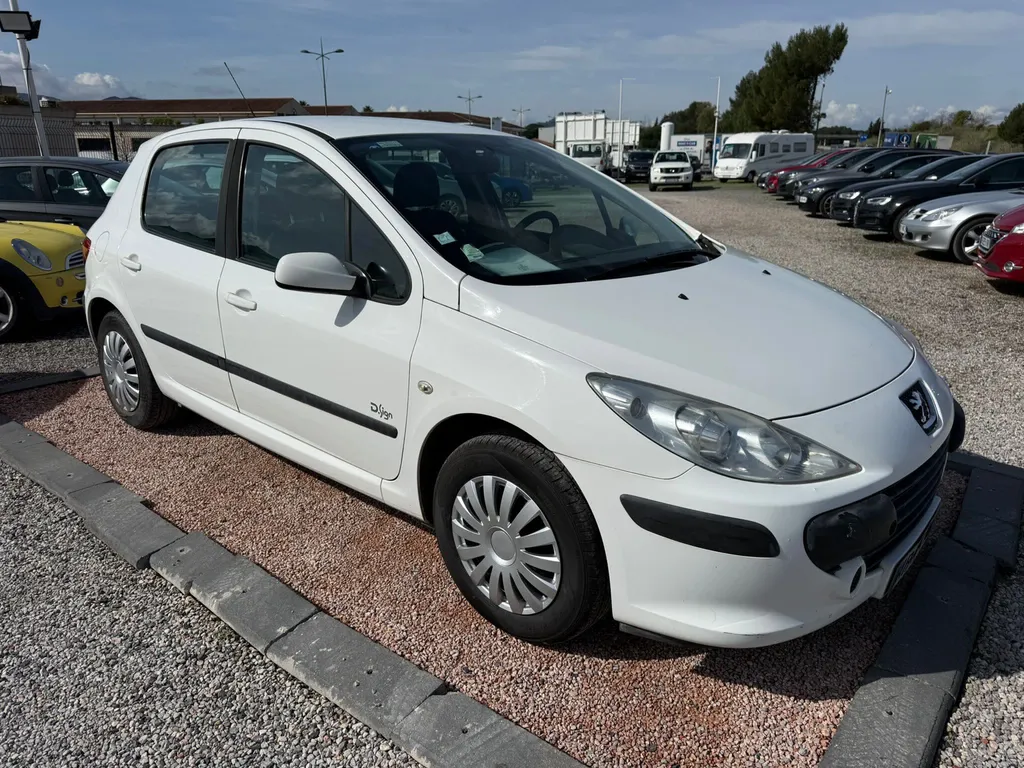 PEUGEOT 307 DSign 1.6 L HDI 110CV