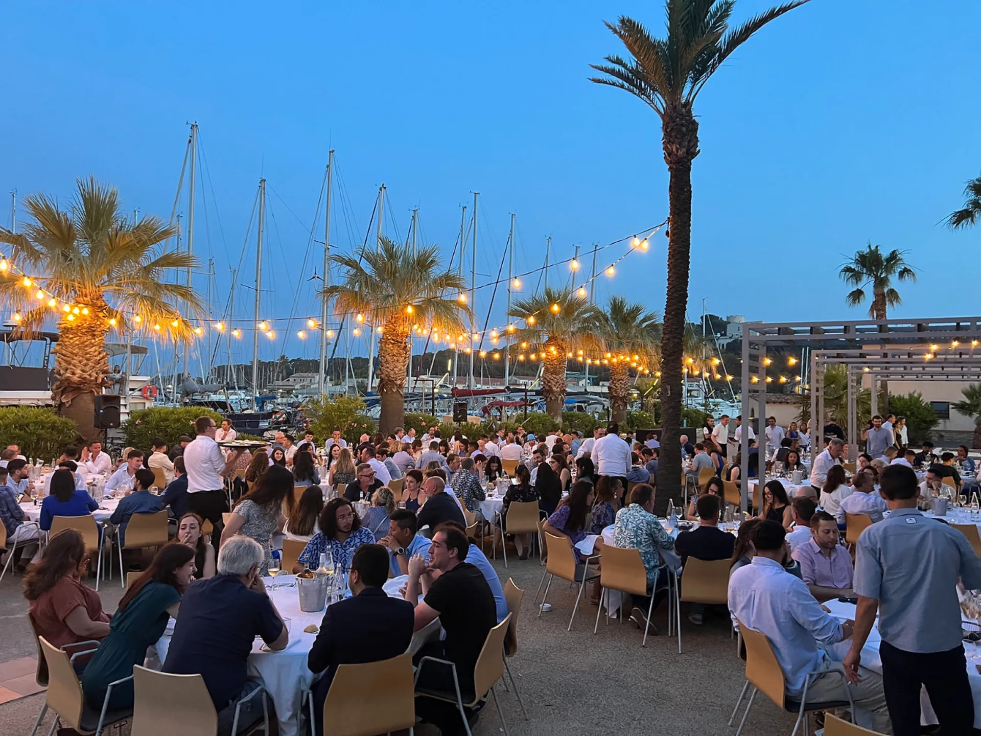 location guirlande 50m 150 ampoules à Toulon dans le var