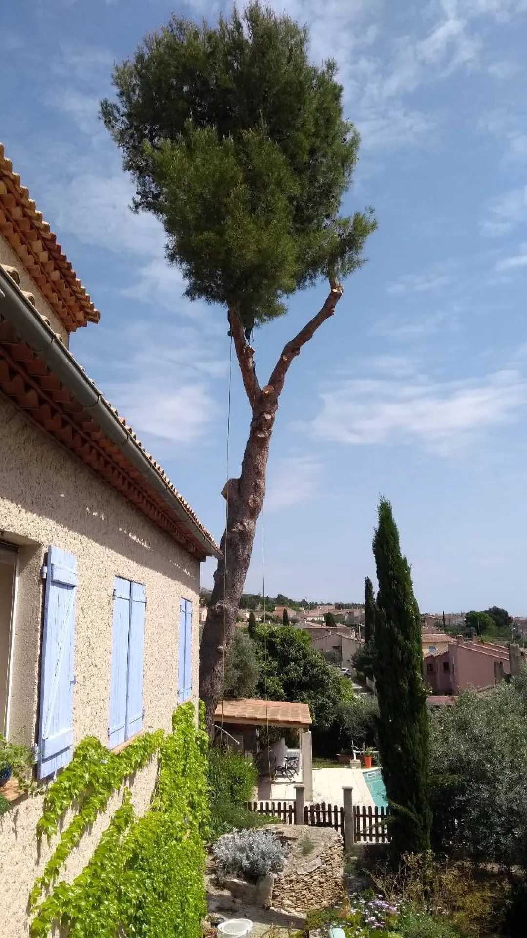 Pourquoi élaguer ses arbres en hiver par nos paysagistes dans les Bouches-du-Rhône 