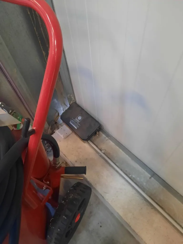 tuer les rats à miramas